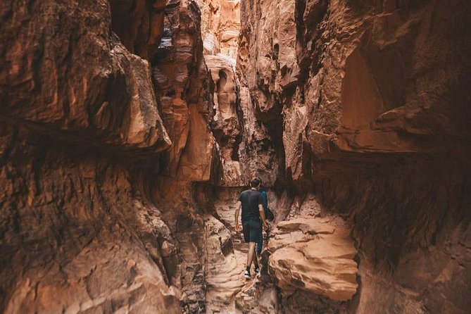 Wadi Rum: Full Day Valley Tour with Lunch - Price and value: $91.10, plus the Wadi Rum entrance fee