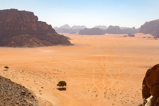 Wadi Rum: Full Day Valley Tour with Lunch - Your full-day timing: how 7 to 8 hours usually feels in the desert