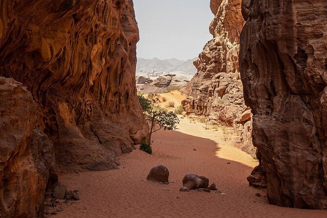 Wadi Rum Half-Day Desert Tour | Wadi Rum Desert - Petroglyphs and narrow walls in Khazali Canyon
