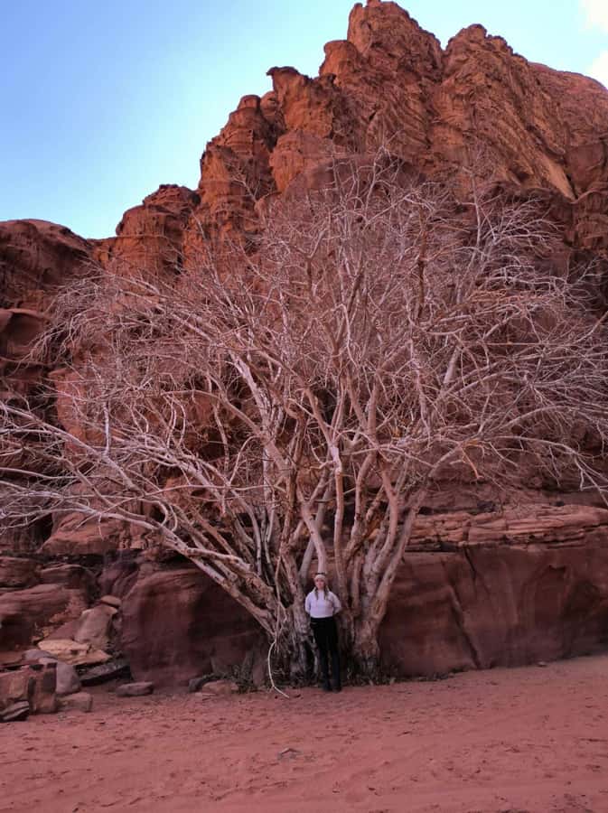 Wadi Rum: Morning or Sunset Jeep Tour - Al Ramal Red Sand Dune: where the views get serious