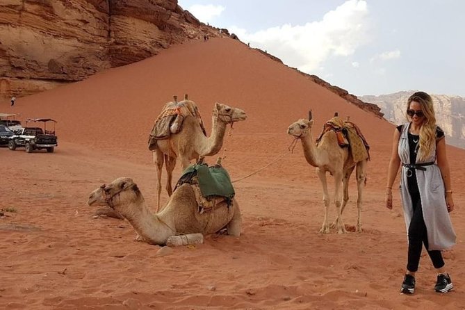 Wadi Rum Private Transfer to or from Amman or Airport - Price and value: what $149.99 per person buys you