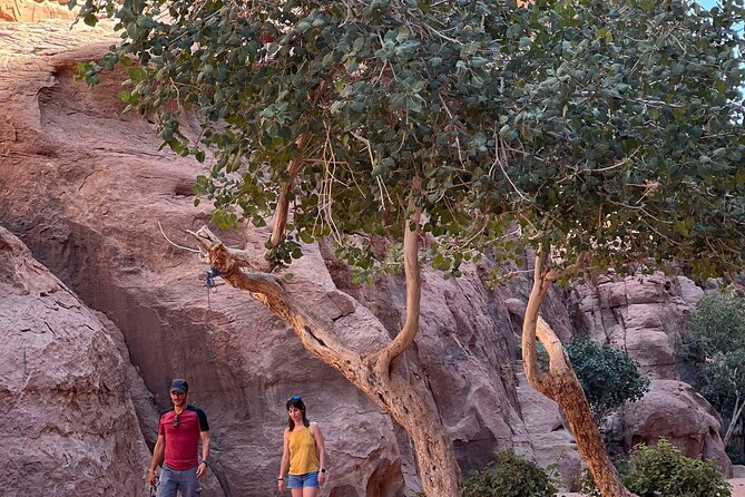 Wadi Rum Short Tours - Lawrence’s Spring: the ancient water hole behind the movie fame
