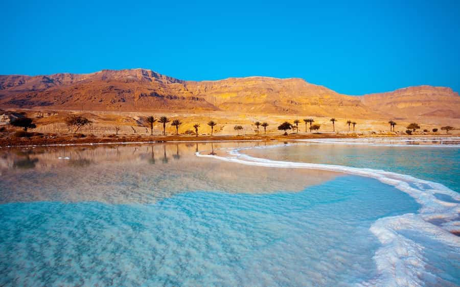 Whispers of Stone, Sand & Sea: Jordan in Five Days - Dead Sea float day: sunrise options, mineral time, and drive reality