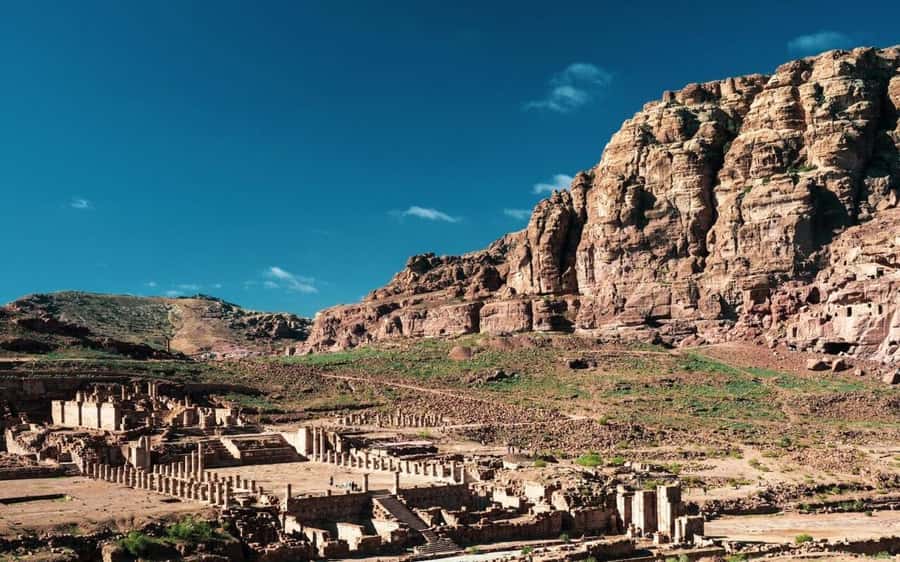 Whispers of Stone, Sand & Sea: Jordan in Five Days - Jerash and Ajloun: Roman grandeur meets Saladin’s era