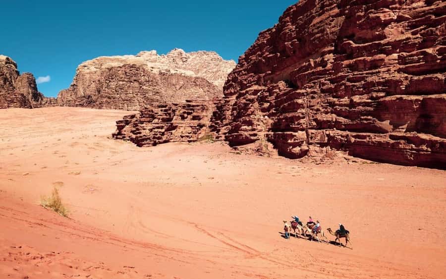 Whispers of Stone, Sand & Sea: Jordan in Five Days - Should you book this 5-day Jordan route?